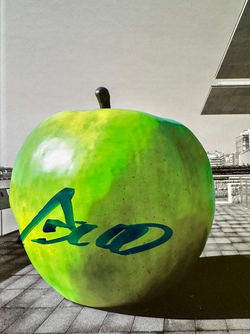 安藤忠雄 サイン入り アートブック YOUTH 未使用 - メルカリ