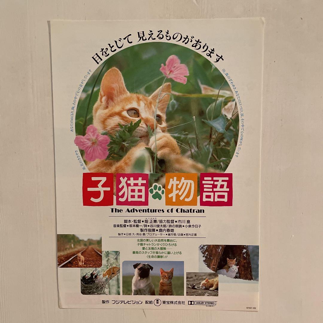 映画チラシ「子猫物語」 - メルカリ
