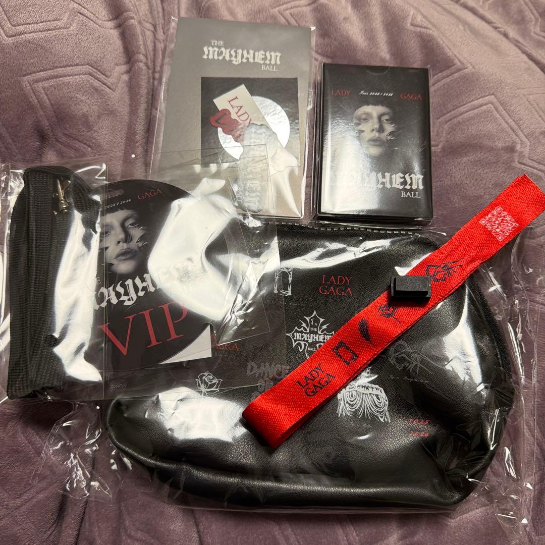 新品未開封】 Lady Gaga 2026 VIP SILVER 限定グッズ - メルカリ