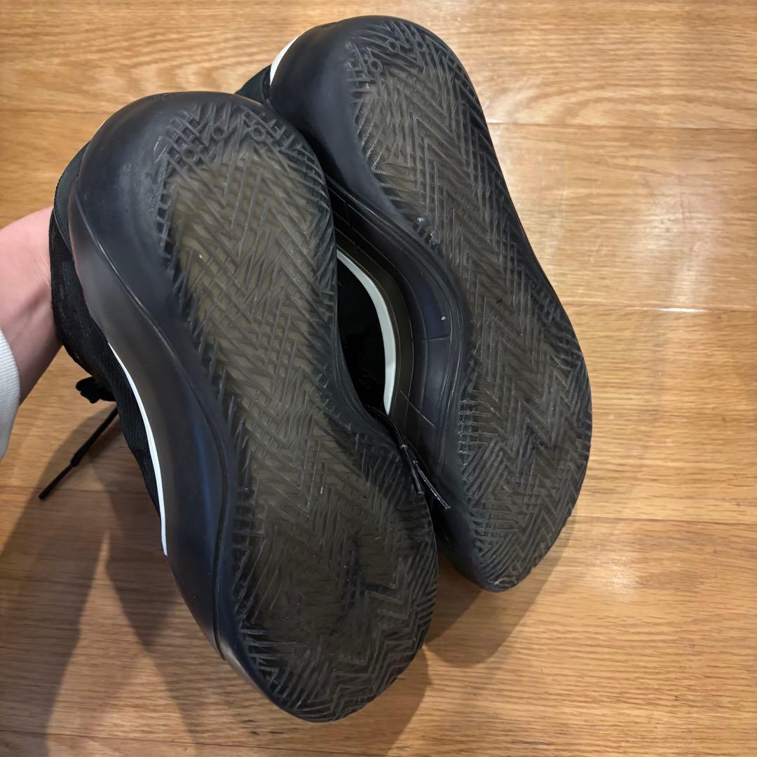 【美品】NIKE Air Jordan 39 \"Lumiere\" 26cm