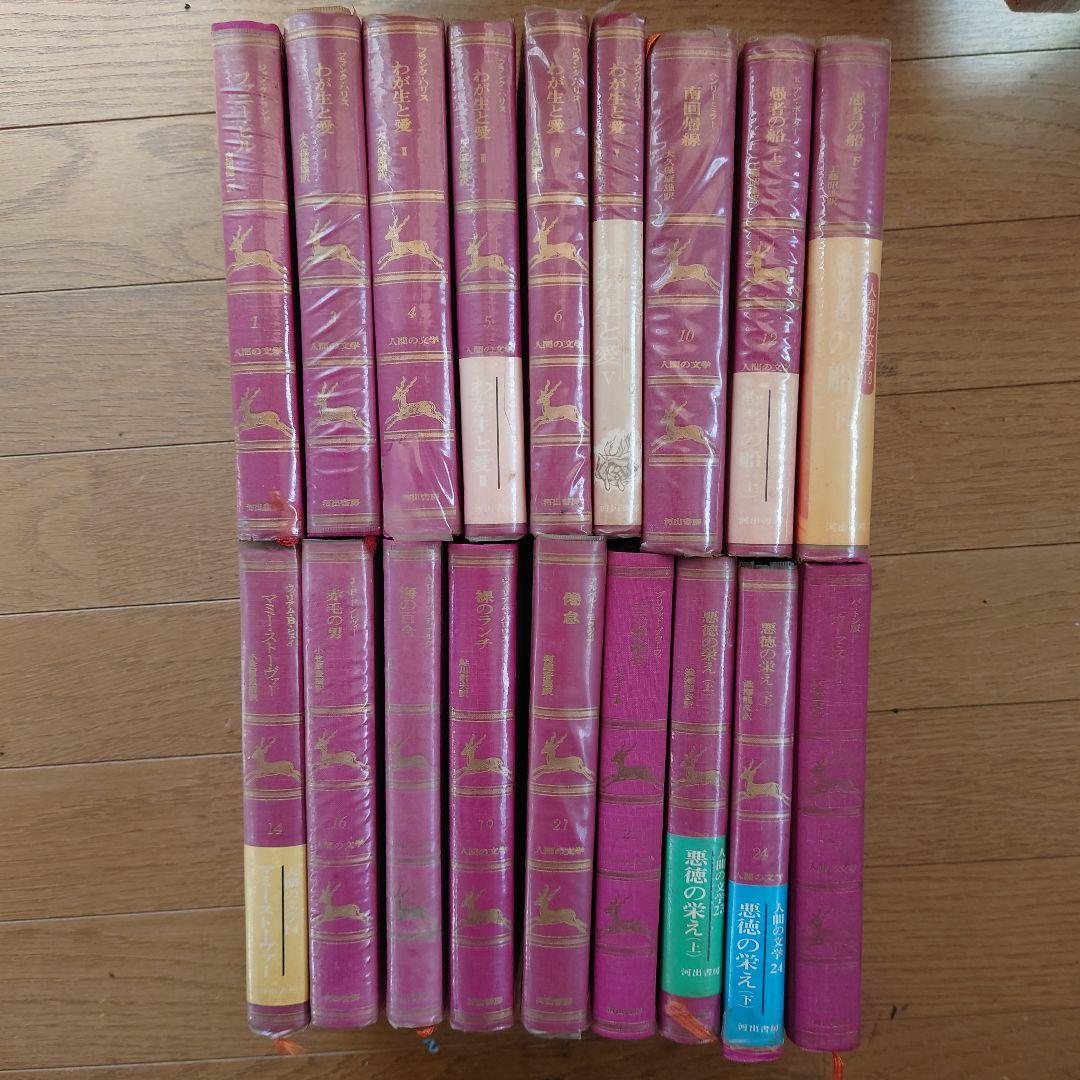 絶版人間の文学 河出書房 希少本18冊 いつか君に出会ってほしい本 :田村 文 | 河出書房新社