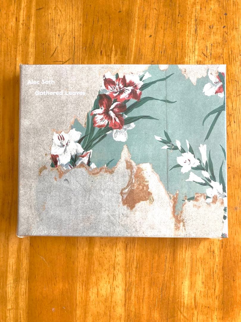 Alec Soth Gathered Leaves 未開封 GATHERED LEAVES POSTCARDS by Alec Soth