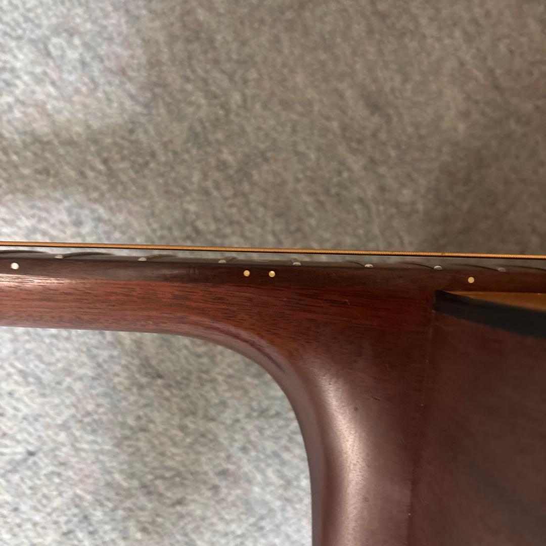 Martin & Co. DM アコースティックギター弦高調整済みの通販はau PAY