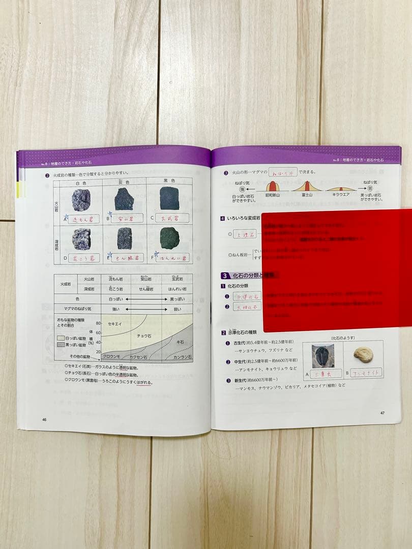 浜学園 理科 5年 6年 マスターコース ☆日能研関西生にもおすすめ