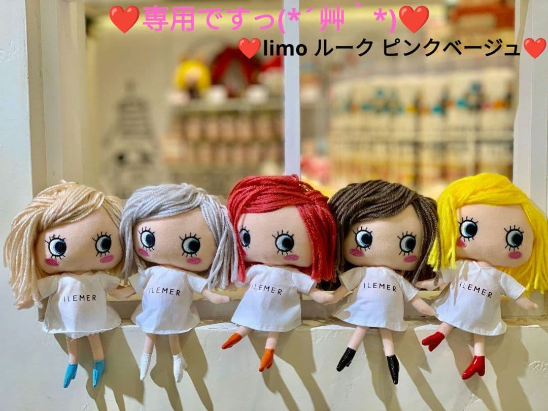 恩師小谷喜美生先生百年記念 限定版 霊友会 DVD VHS