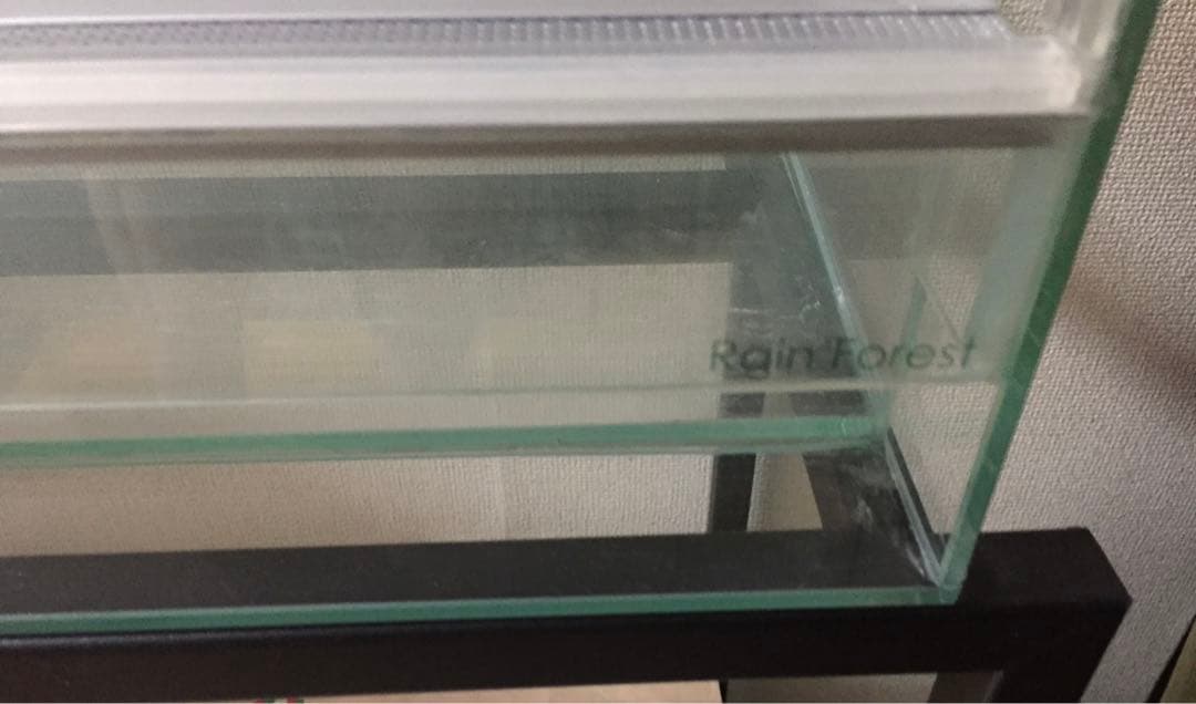 Rain Forest PCP6045 パルダリウムケージ 引取り限定専用 - メルカリ