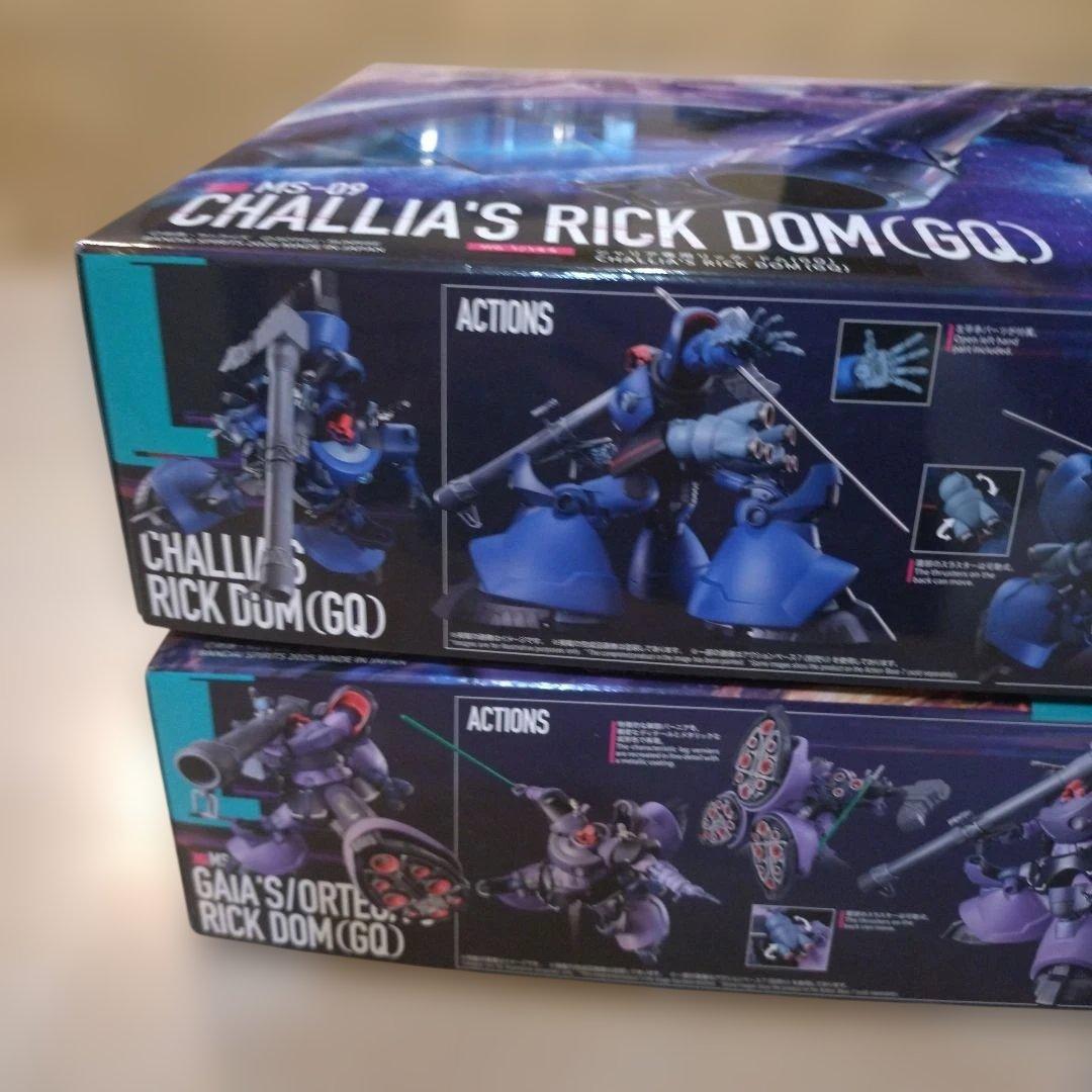 HG リック・ドム シャリア専用 & ガイア機/オルテガ機 2つセット 未