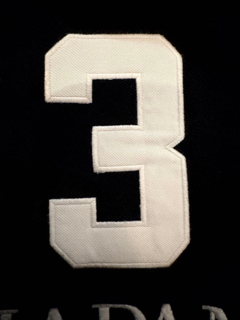 入手困難】ポロバイラルフローレン ビッグポニー トラックジャケット