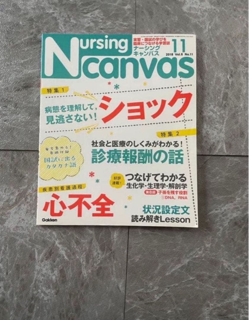 2冊セット】ナーシングキャンバス 2018年8月 11月 - メルカリ