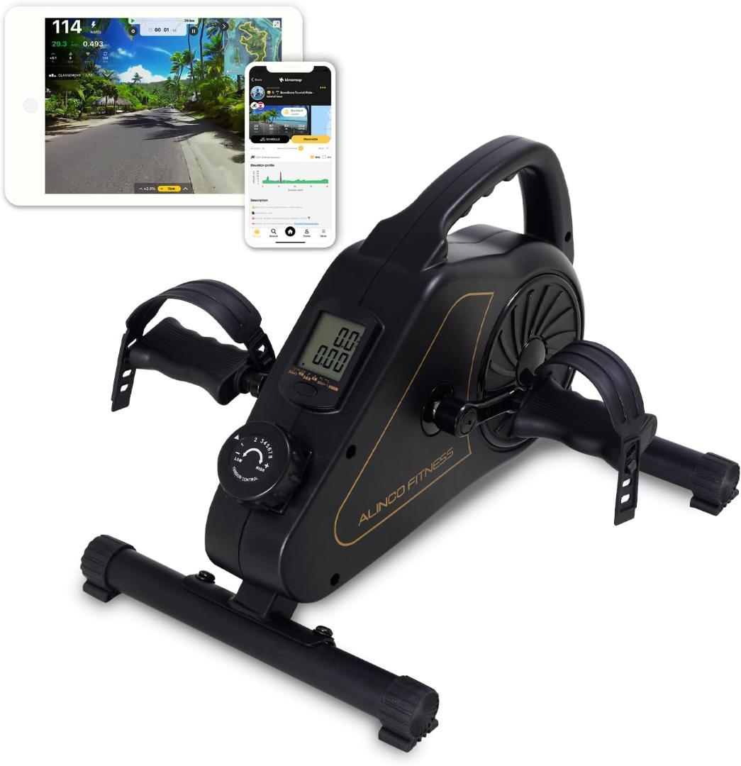 水彩原画バラクライングリッシュガーデン光と影➁ひかりあふれて… 7月