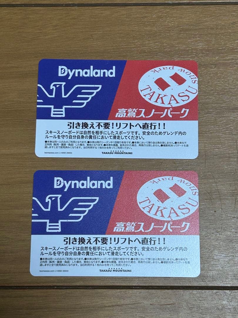 ダイナランド 高鷲スノーパーク 共通リフト券 大人2枚 即日発行 - メルカリ