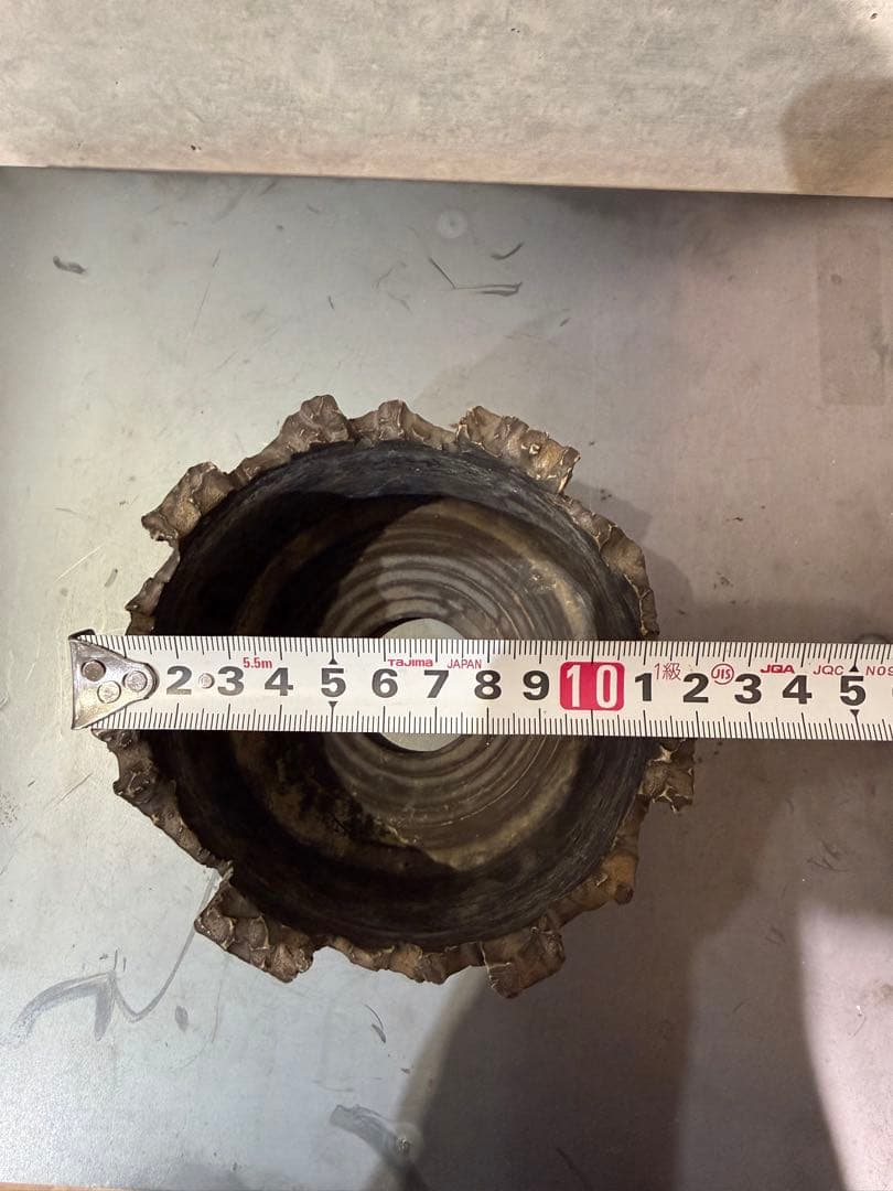 RAW LIFE FACTORY 検) y鉢 細川政己 パキプス グラキリス - メルカリ