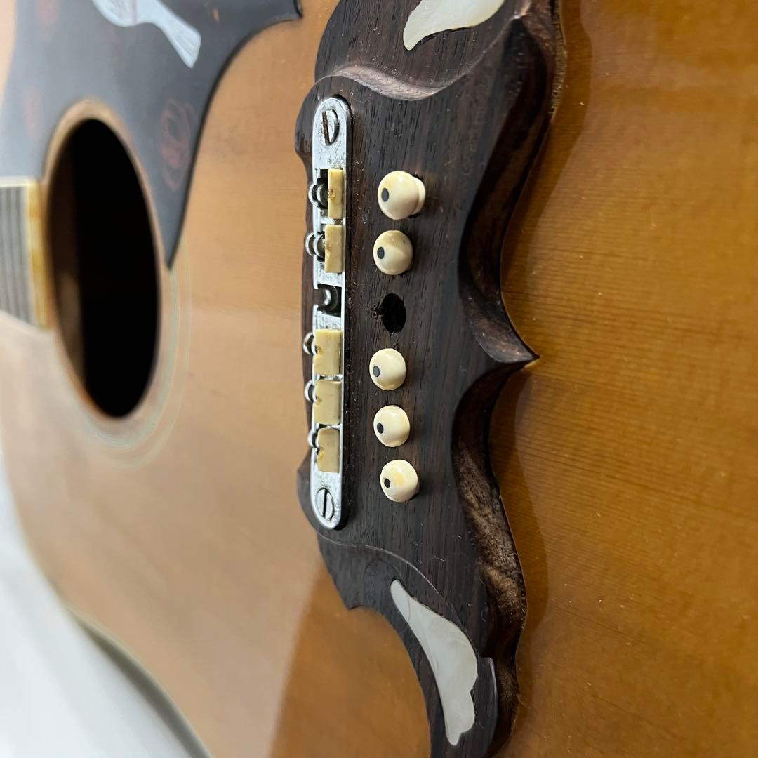 TOMSON TGF-351 ギター すがの ヴィンテージ ハミングバードの通販