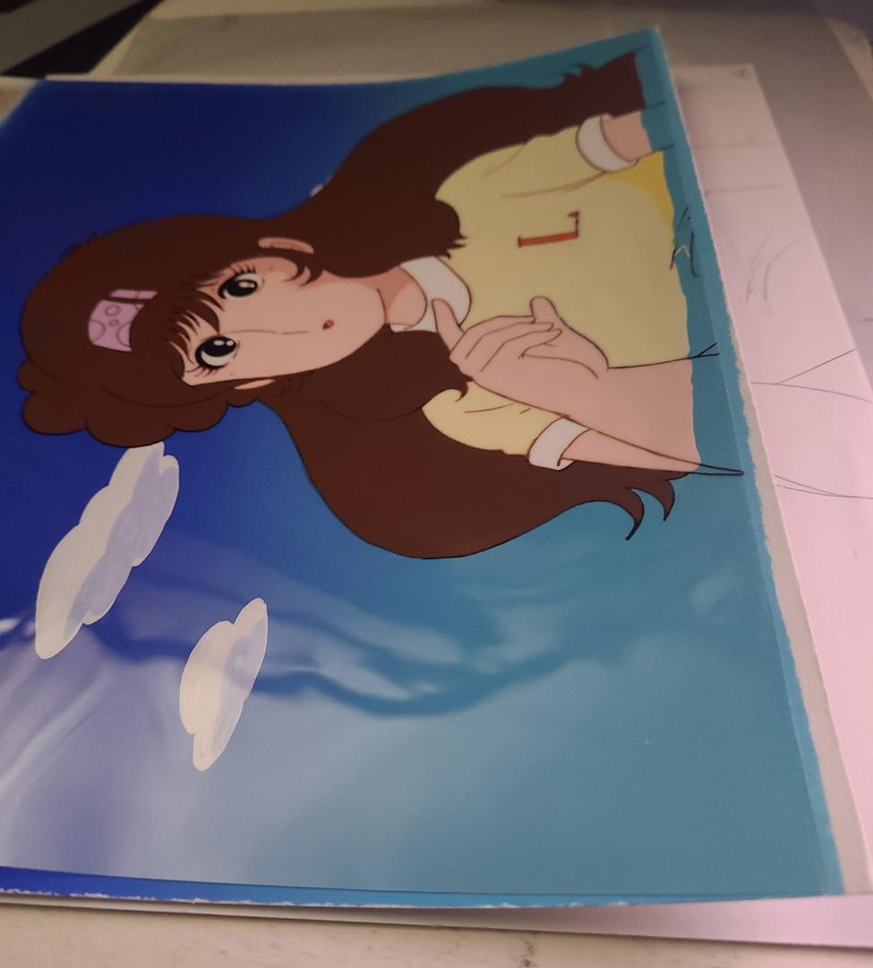 The・かぼちゃワイン 夏美 セル画 - メルカリ