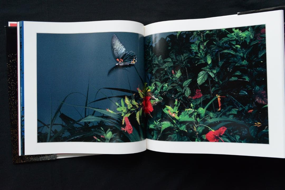 花狩】山村雅昭写真集 1998年