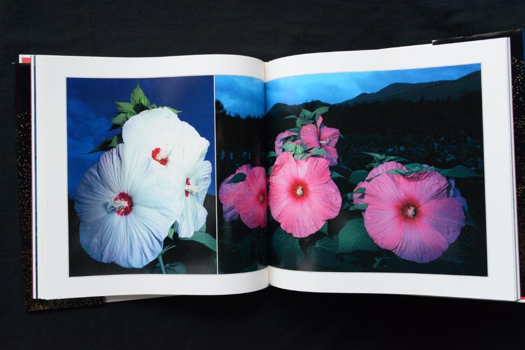 花狩】山村雅昭写真集 1998年