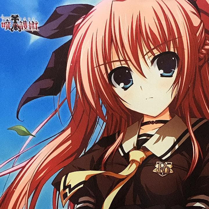 暁の護衛 二階堂麗華 タペストリー 9本セット 【稀少品】 - メルカリ