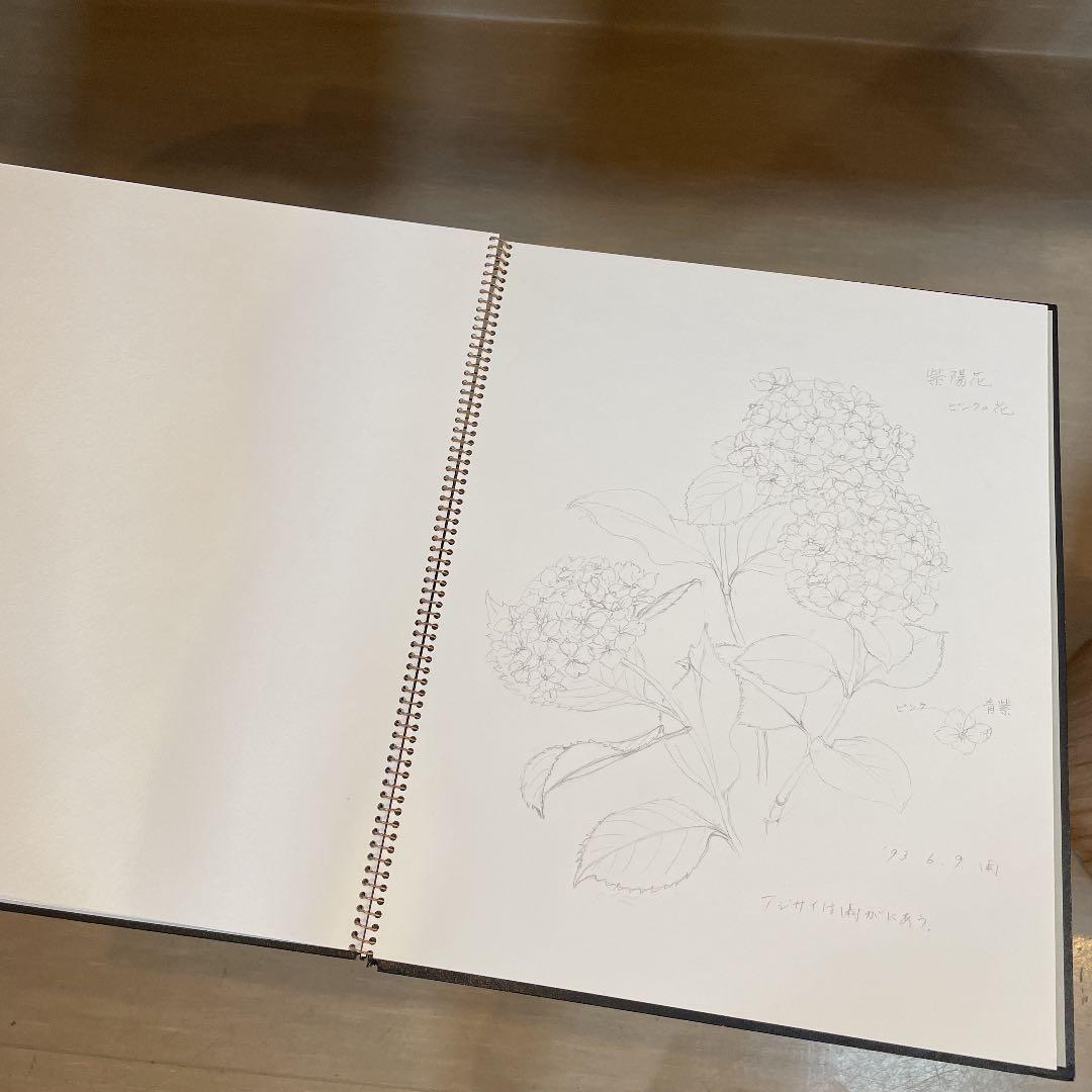 河村大蔵　蔵石　スケッチブック