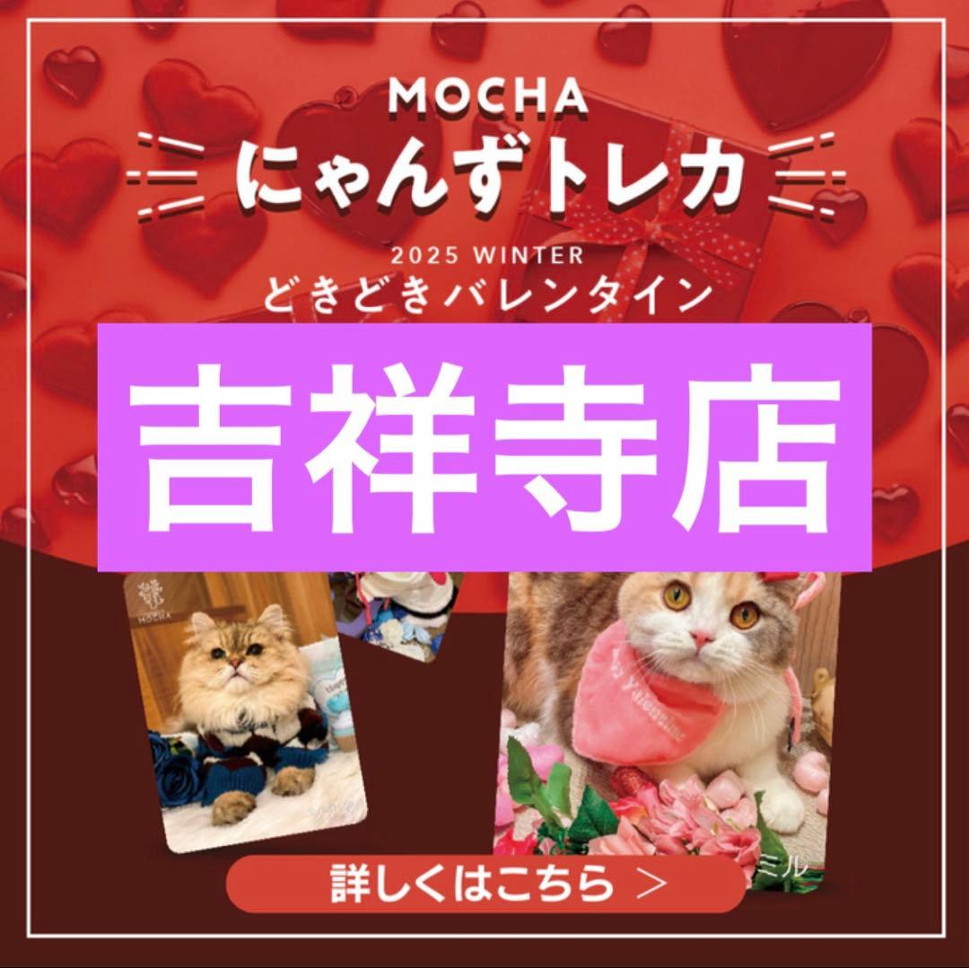 猫カフェmocha にゃんずトレカ どきどきバレンタイン 吉祥寺店 - メルカリ