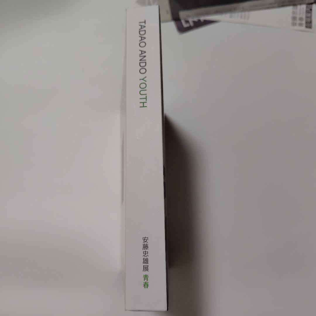 限定お値下げ！生サイン入り TADAO ANDO YOUTH ドローイング入り