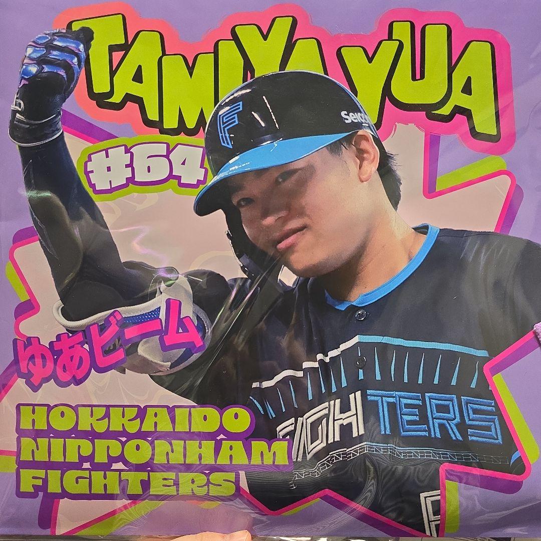 田宮裕涼 レコードパッケージ型タオル - メルカリ