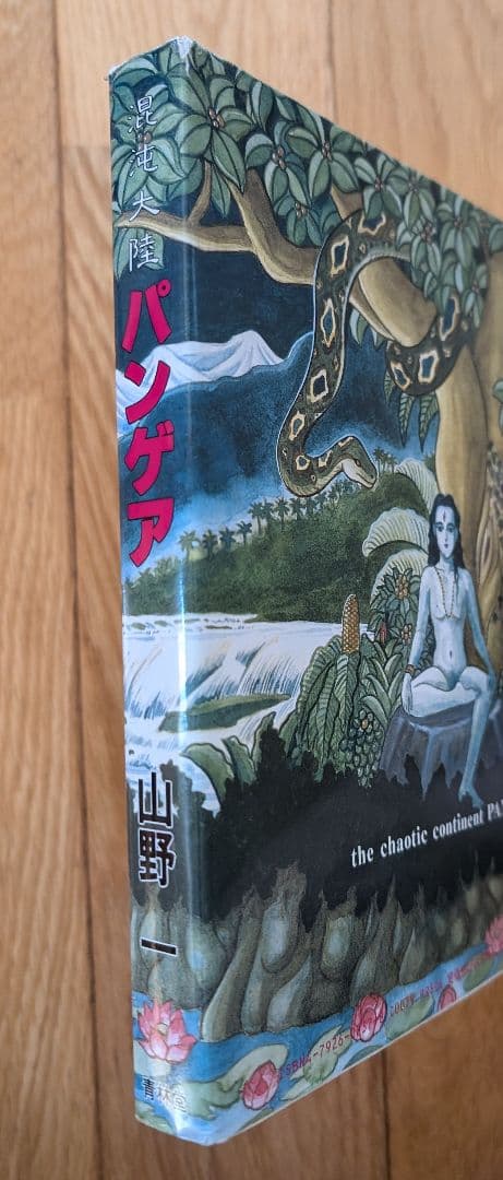 値下げしました☆ 山野一/混沌大陸パンゲア - メルカリ