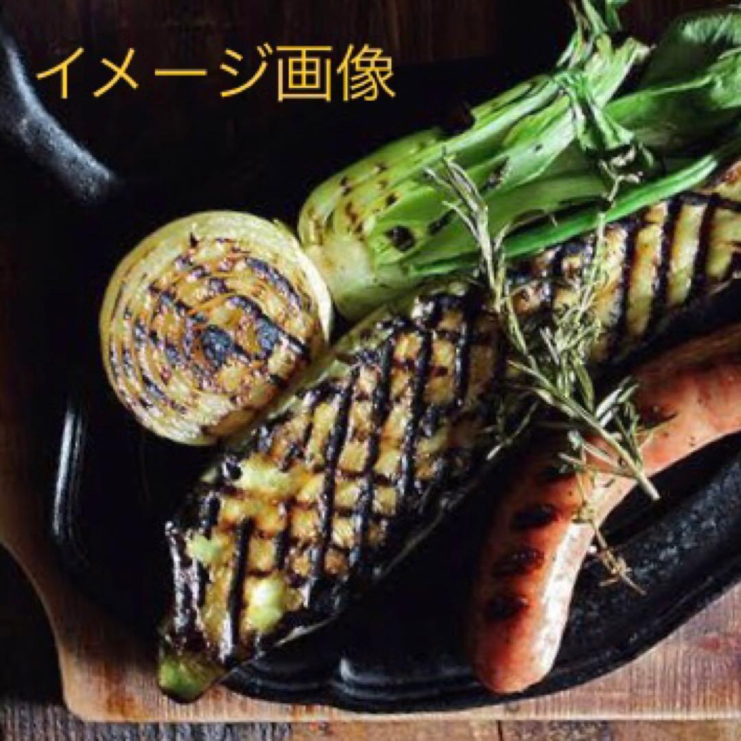 ☆URIKARI様専用☆新品 未使用] ル・クルーゼ スクエア パニーニプレス