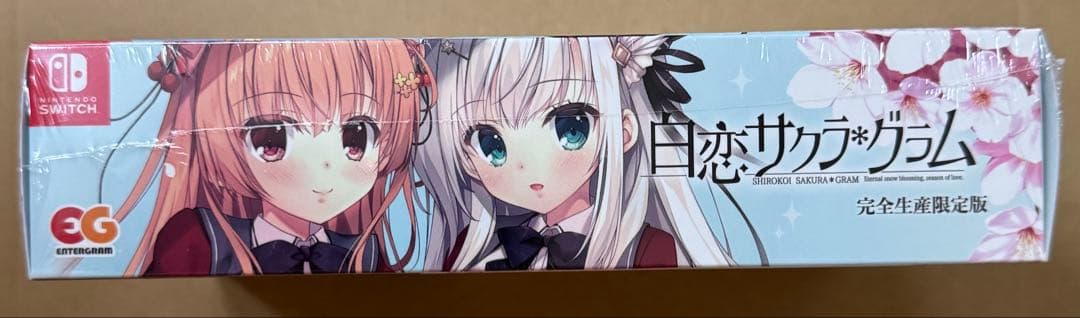 白恋 サクラ グラム