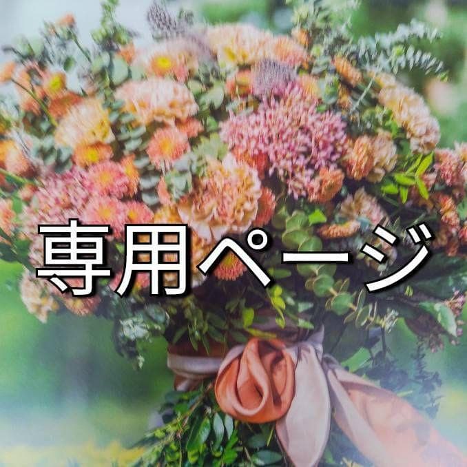 かず（感謝）/7 プロモジーンズ バイク用カーゴパンツ SANTIAGO/サンティアゴ