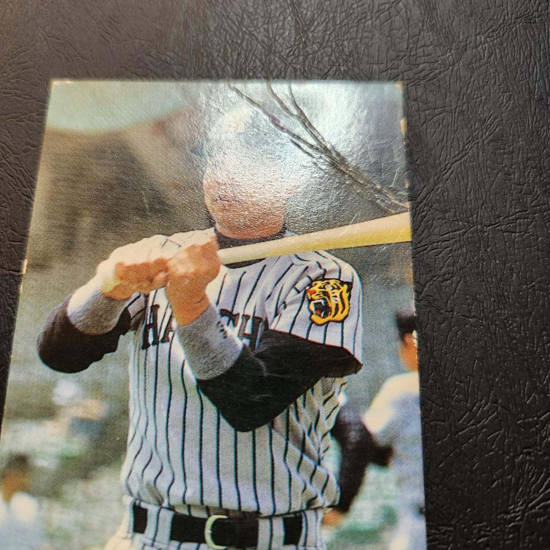 カルビー野球カード 85年 No.321 掛布雅之 (阪神タイガース) - メルカリ