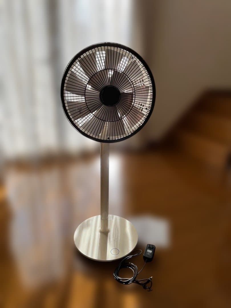 バルミューダ GreenFan2 EGF-1100 ホワイト(ジャンク） - メルカリ