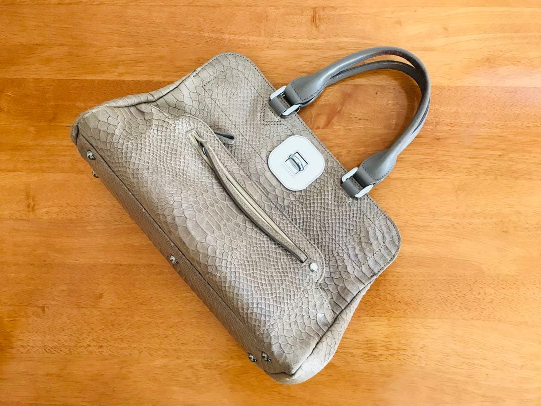 Longchamp ロンシャン 型押し2wayバッグ ギャビー パイソン柄 - メルカリ