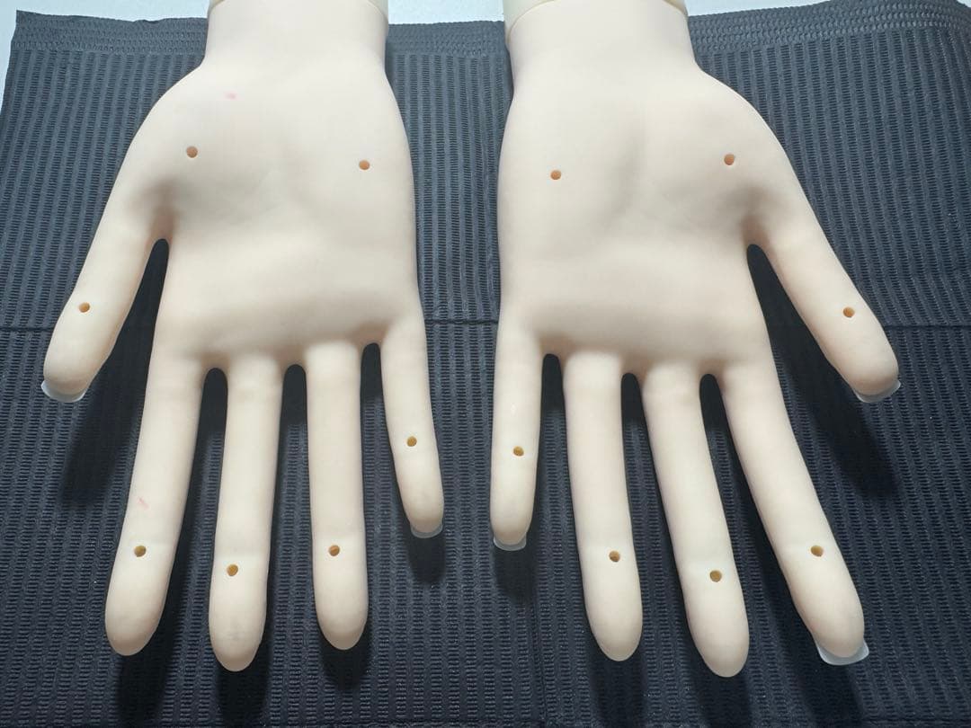 JNEC 認定モデルハンド 骨折なし