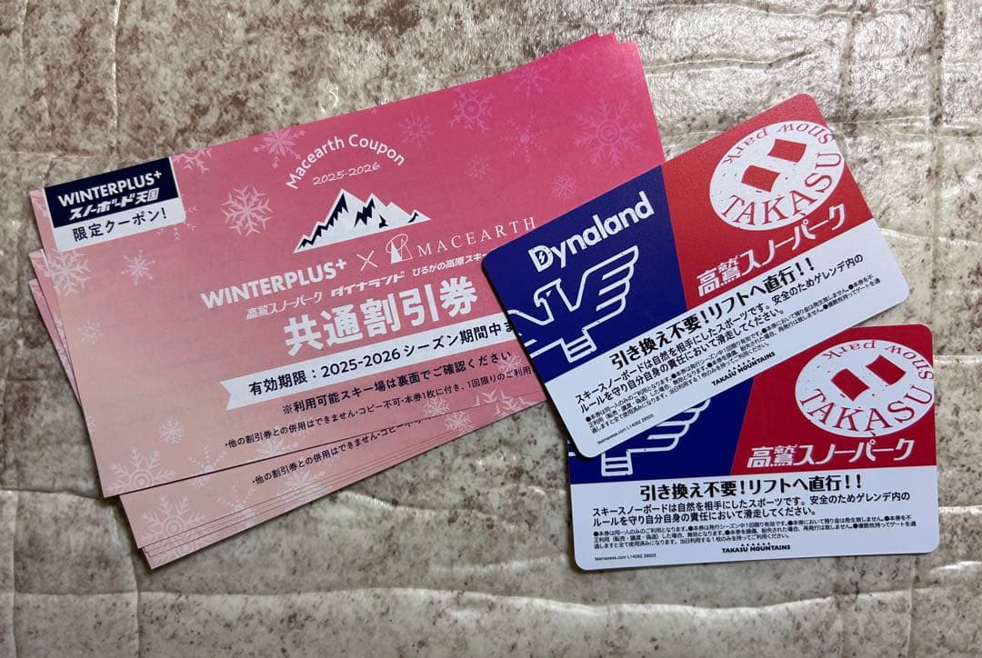 高鷲スノーパーク ダイナランド 共通リフト券 - メルカリ