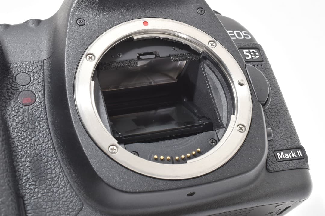 ショット数: 22089回 Canon EOS 5D Mark II #1107 - メルカリ