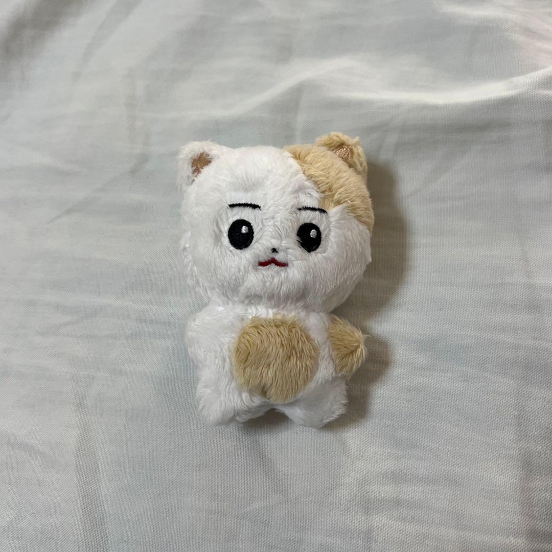 ENHYPEN enhypen ヒスン ぬいぐるみ マスター - メルカリ