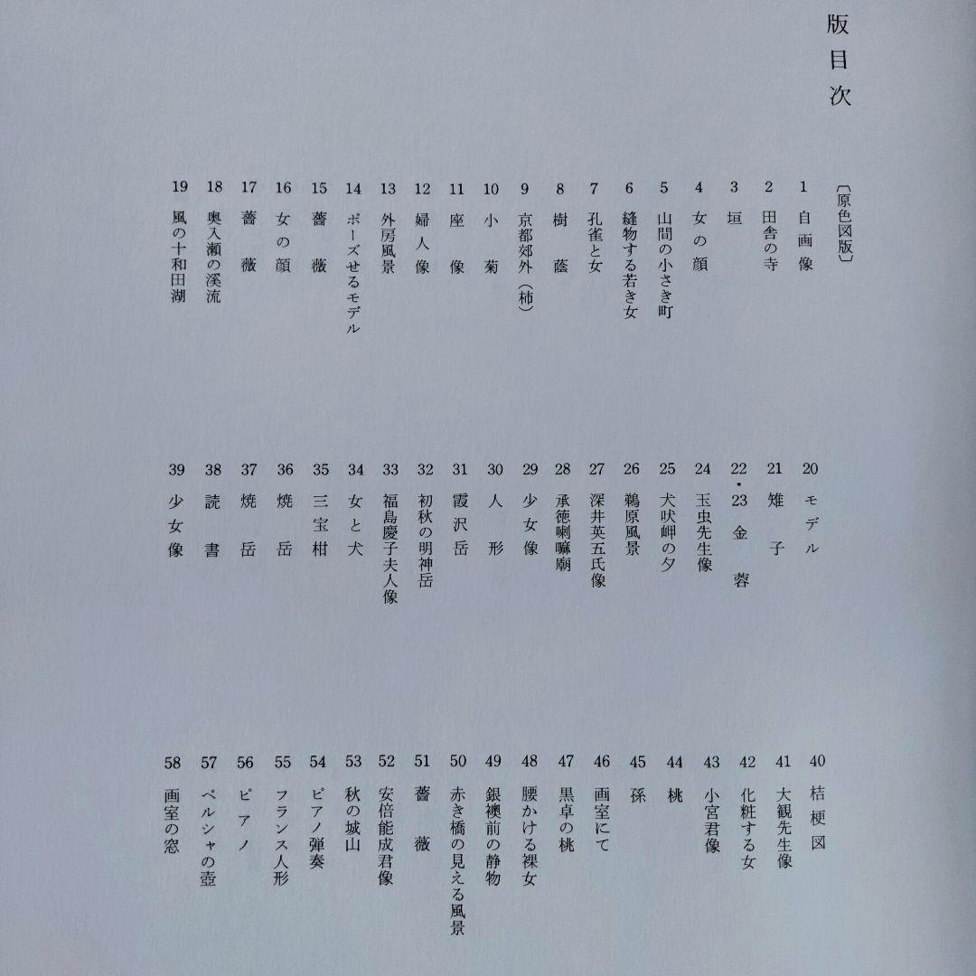 安井曽太郎 　嘉門安雄著　限定版　日本経済新聞社