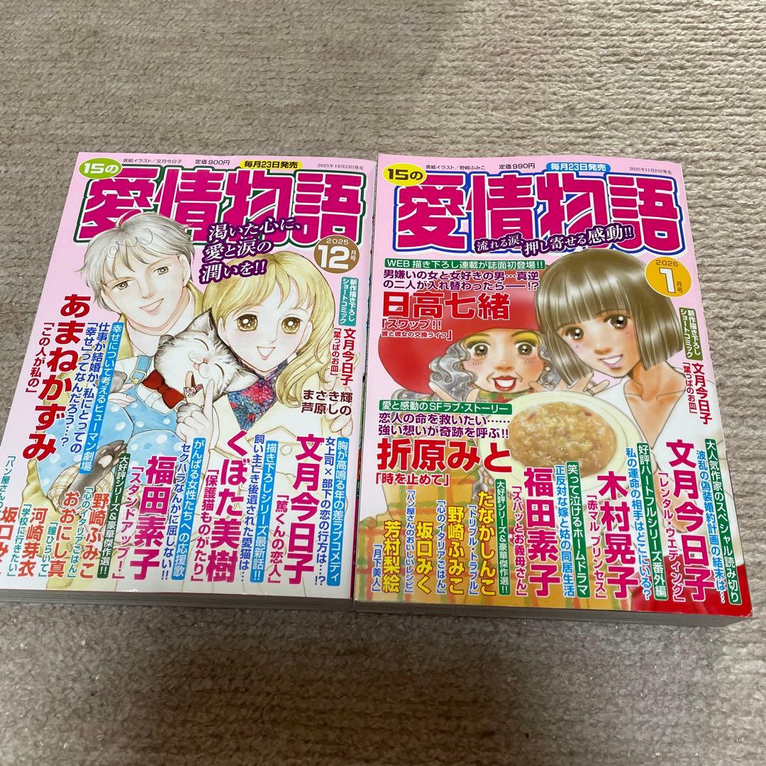 レディースコミックまとめ売り10冊 - メルカリ