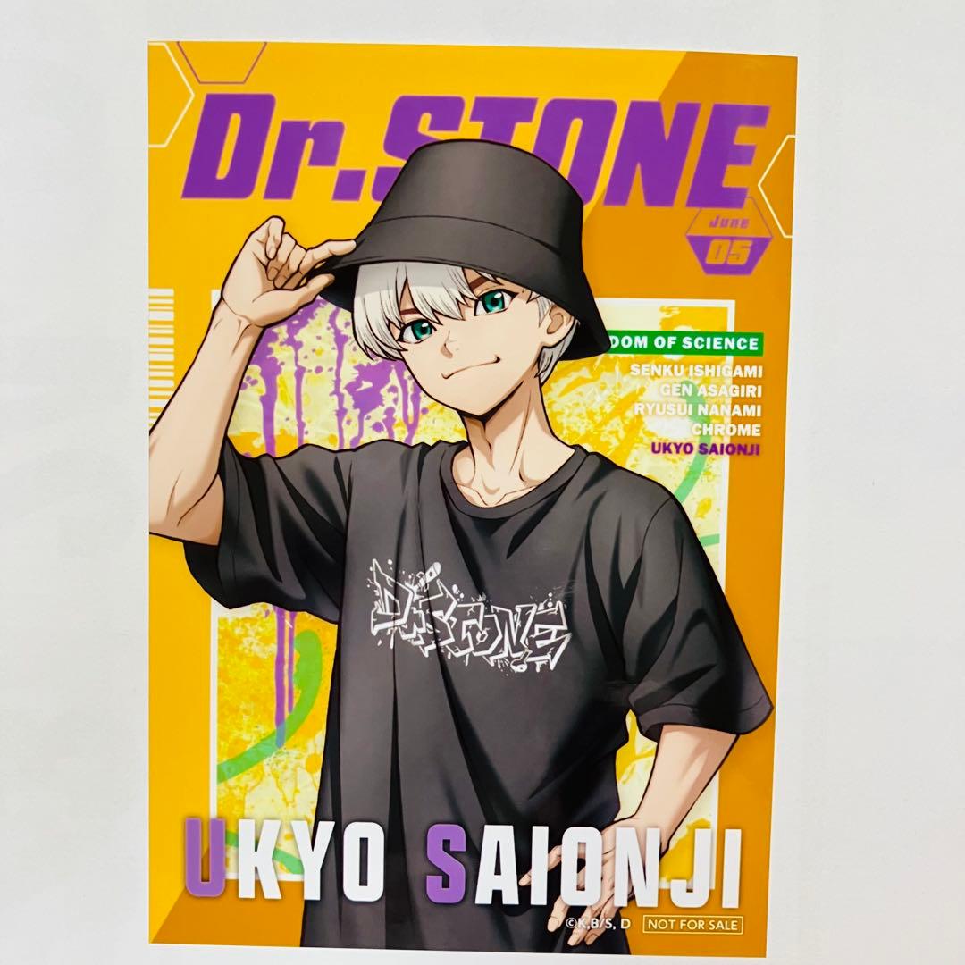 ドクターストーン 渋谷109 ノベルティブロマイド 西園寺羽京 - メルカリ