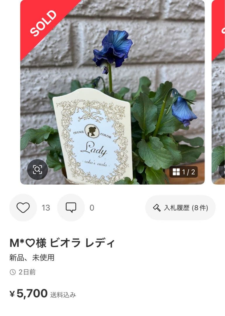 MIYABI様専用 メルカリ便 6苗 - 花ブランド 品 通販