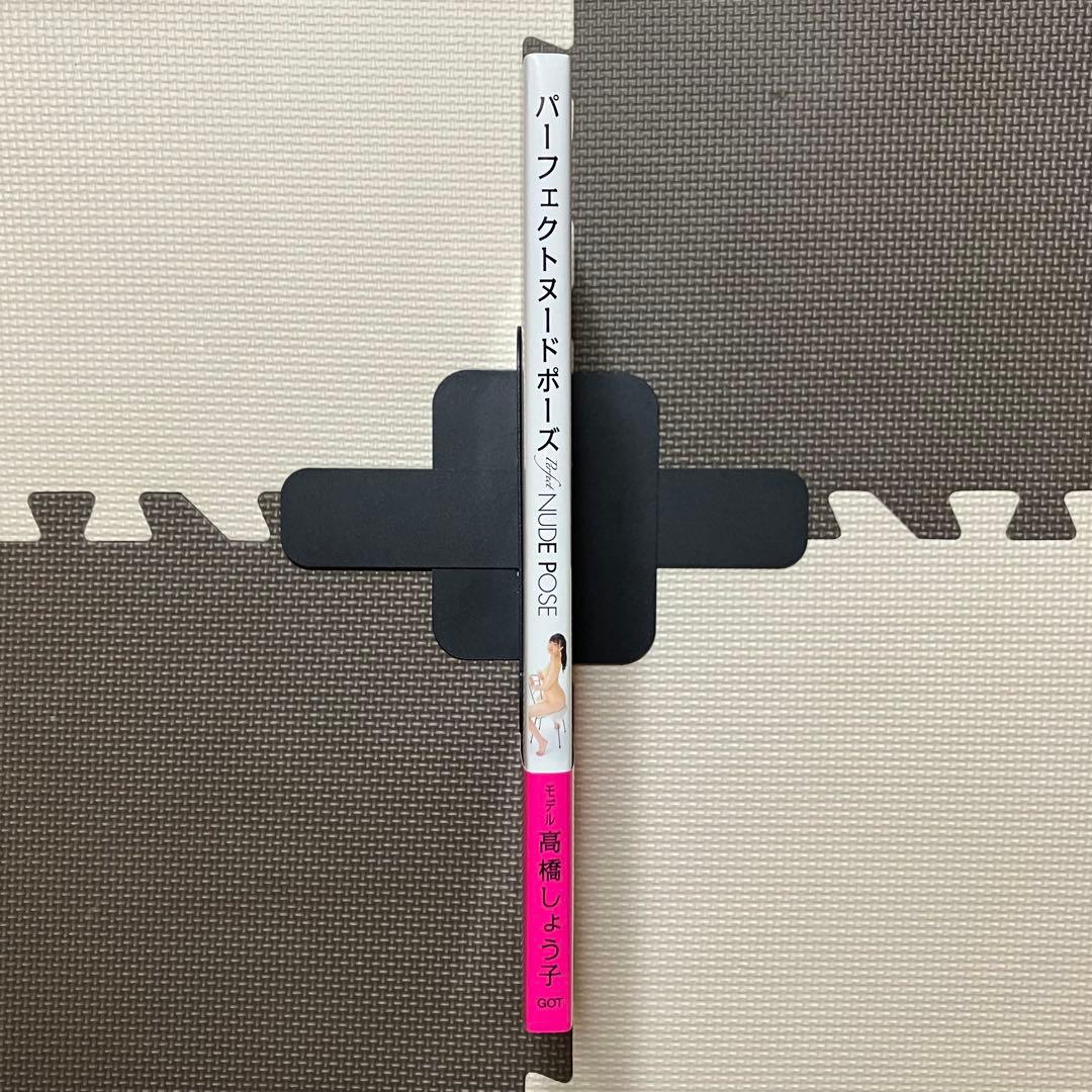 パーフェクトヌードポーズ PerfectNUDEPOSE 高橋しょう子 絵画技法