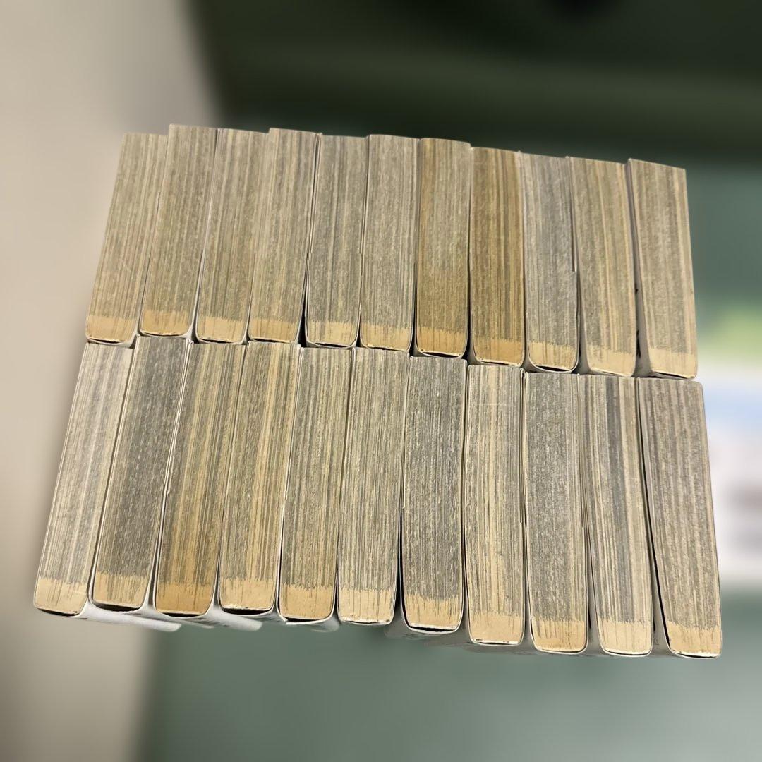 優駿の門　文庫版　チャンプ ピエタ　アスミ