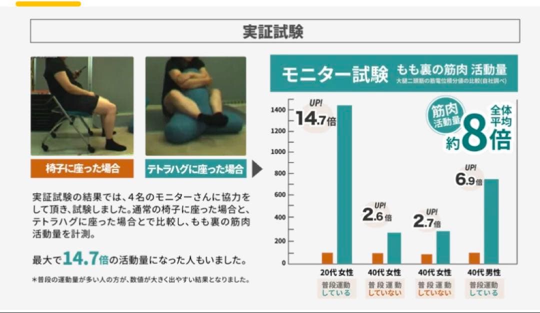 【座るだけで筋肉活動量8倍！】ゆる筋トレビーズクッション -Tetra Hug-