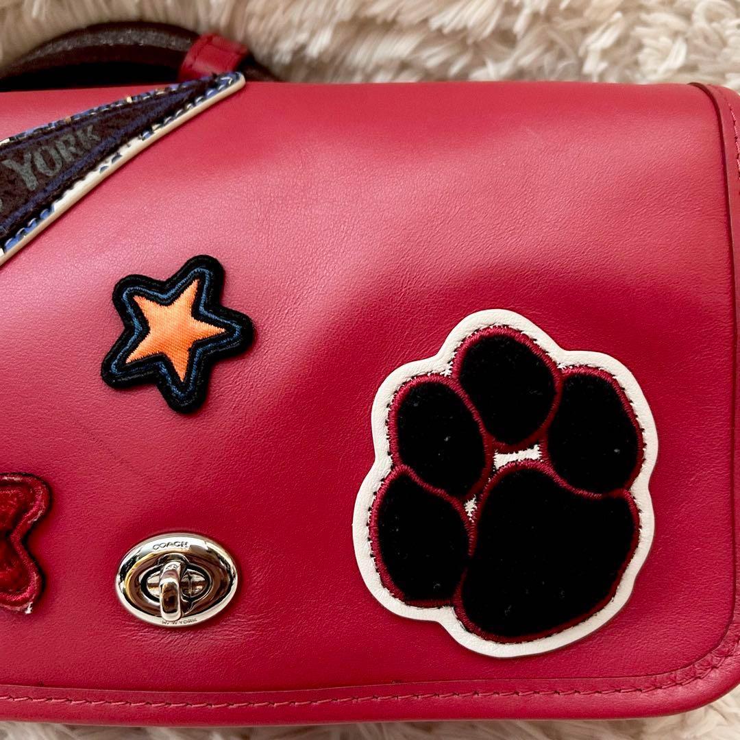 極美品 コーチ ウィズ ペニー ショルダーバッグ カメラバッグ クロス