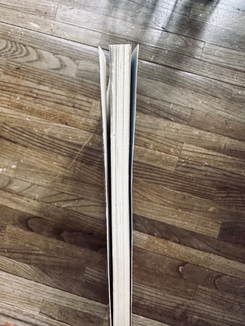 City Indians パンク・モヒカン・スキンヘッド・タトゥー 写真集