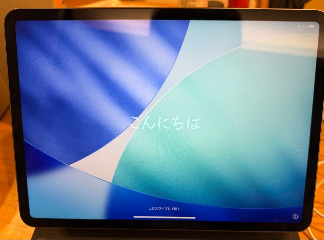 【美品】iPad Pro(第三世代) 11インチ WiFi 256GB Apple iPad Pro 11インチ 第4世代 Wi-Fi 256GB 2022年秋モデル MNXF3J