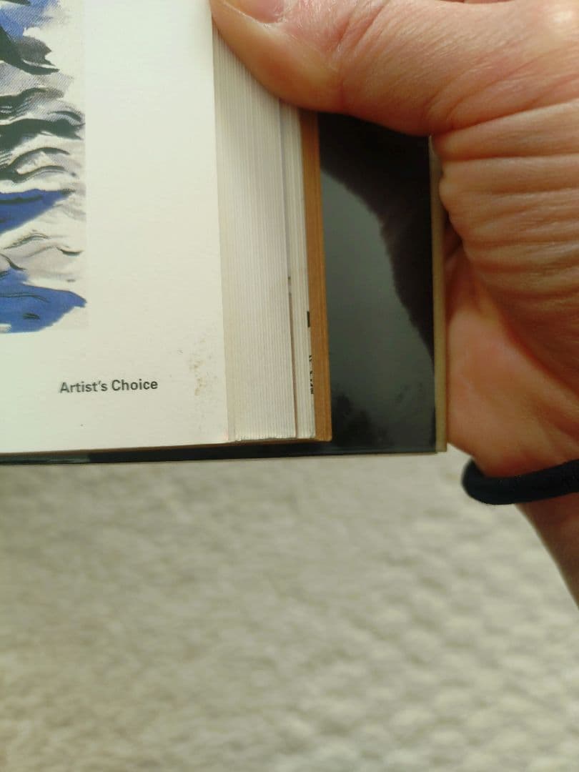 レイモンド・ペティボン Raymond Pettibon 英語版 ソフトカバー - メルカリ