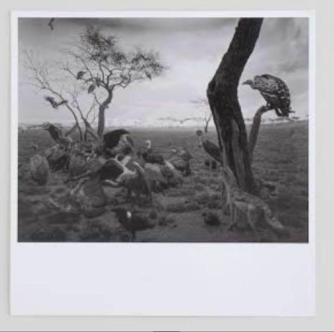 杉本博司ポスター - メルカリ