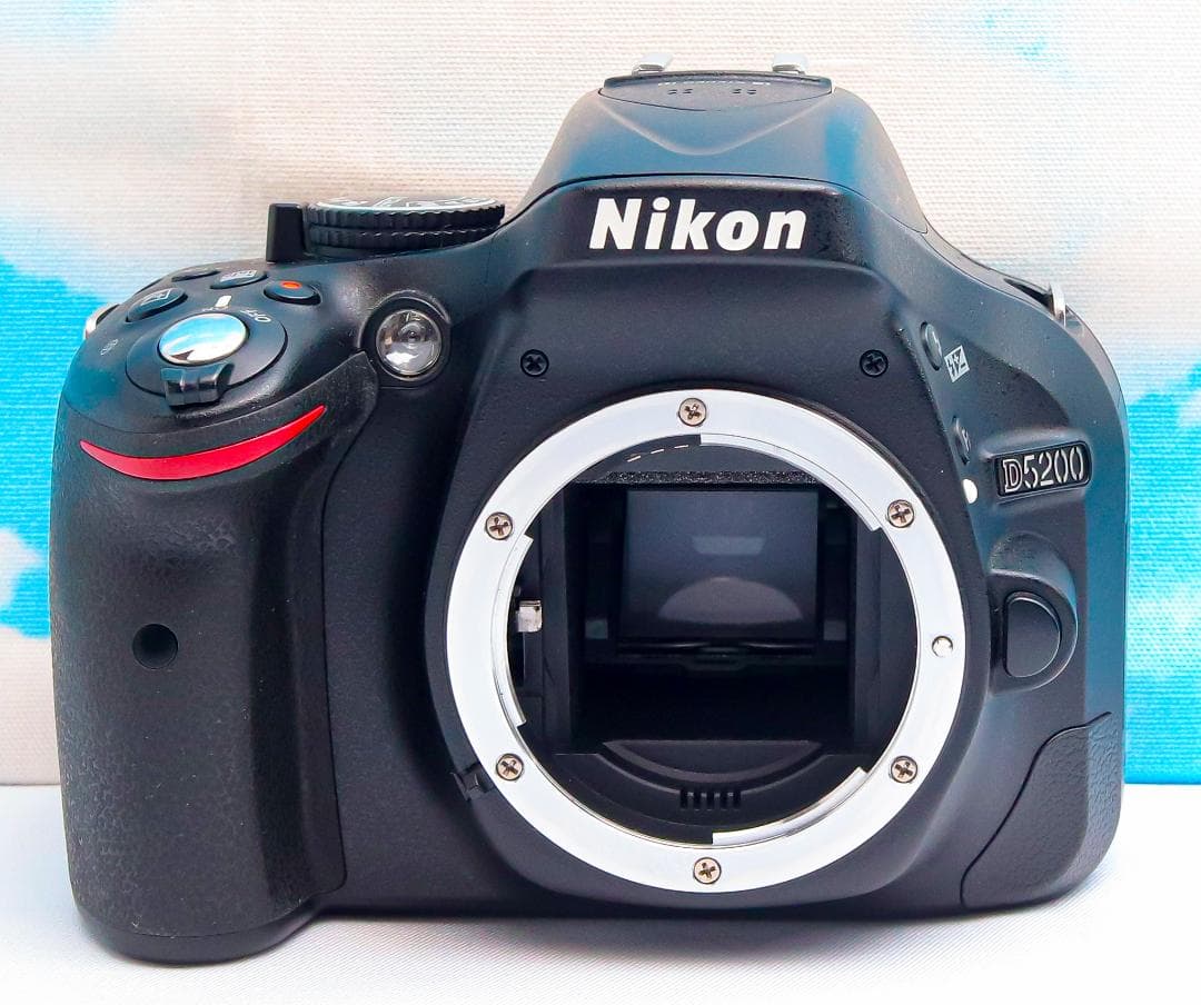 ニコン Nikon D5200⭐️スマホに転送⭐️超高画質⭐️動画OK