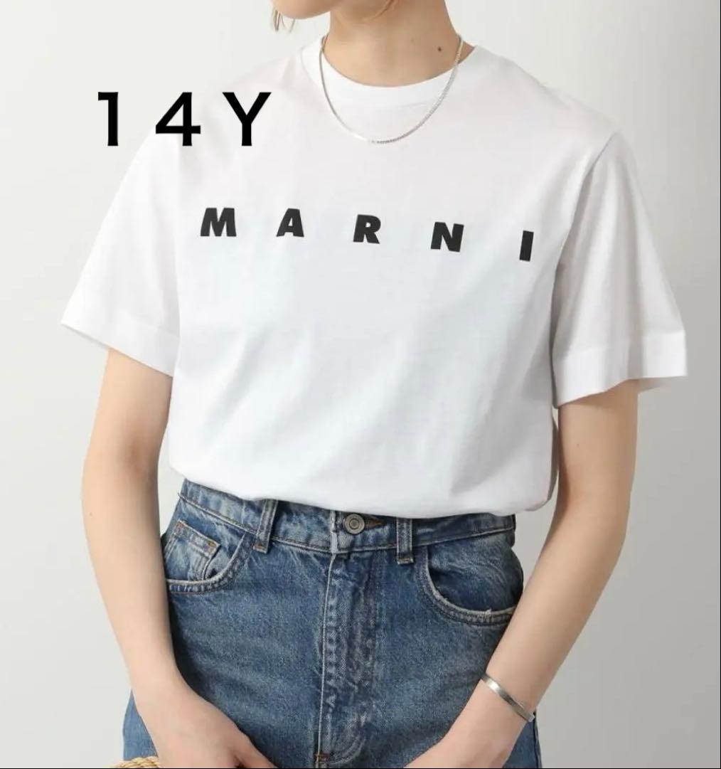 マルニ　キッズTシャツ　14Y 160cm 新品 MARNI（マルニ） LOGO T-SHIRT Tシャツ 半袖 クルーネック ロゴT